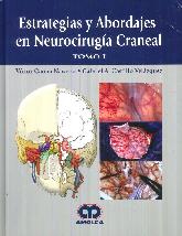 Estrategias y Abordajes en Neurociruga Craneal - 2 Tomos