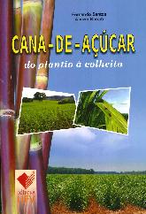 Cana de aucar. Do plantio a colheita 