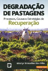 Degradaao de pastagens