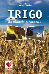 Trigo do plantio a Colheita