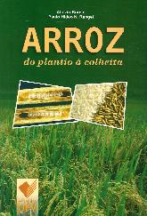 Arroz