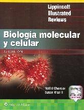 Biologa Molecular y Celular