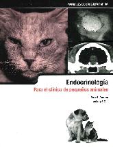 Endocrinologa