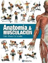 Anatoma y musculacin