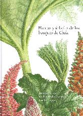 Plantas y rboles de los Bosques de Chile