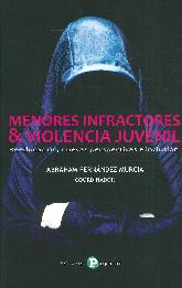 Menores infractores y violencia juvenil