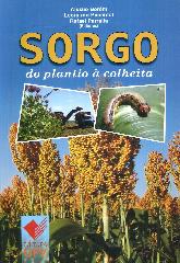 Sorgo 