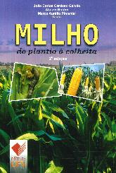 Milho do platio a colheita