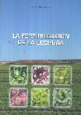 La fertirrigacion de la lechuga