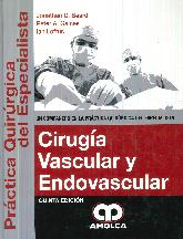 Ciruga vascular y endovascular