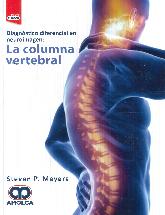 Diagnóstico diferencial en neuroimagen: La Columna Vertebral 