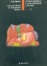 Sistema digestivo Higado, vias biliares y pancreas; T.3, parte 3) Netter