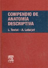Compendio de Anatomía Descriptiva