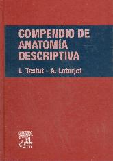 Compendio de Anatoma Descriptiva