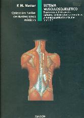 Netter Sistema musculoesqueletico  Tomo 8.2