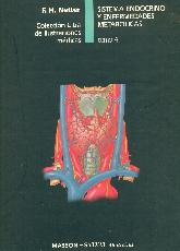Netter Sistema endocrino y enfermedades metabolicas.Tomo 4