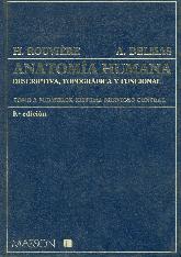 Miembros, sistema nervioso central (Anatomia humana; T.3)