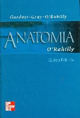 Anatomia ORahilly