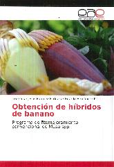 Obtencin de hbridos de banano. Programa de fitomejoramiento convencional de Musa spp