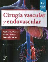 Ciruga Vascular y Endovascular