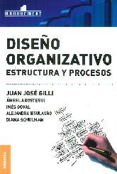 Diseo Organizativo estructura y procesos
