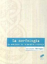 La Morfologa