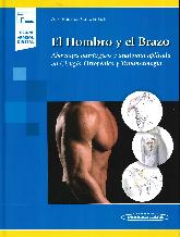 El hombro y el brazo