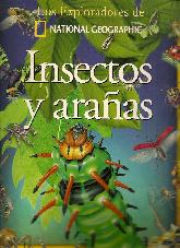 Insectos y Araas