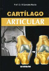Cartilago Articular