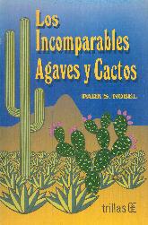 Los incomparables Agaves y Cactos