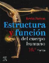 Estructura y funcin del cuerpo humano