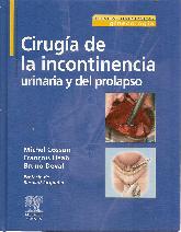 Cirugia de la incontinencia urinaria y del prolapso