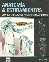 Anatomia & Estiramientos