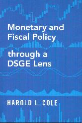 Monetary and Fiscal Policy through a DSGE Lens