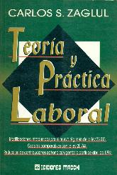 Teoria y practica laboral