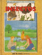 Insectos