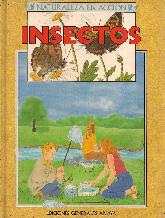 Insectos