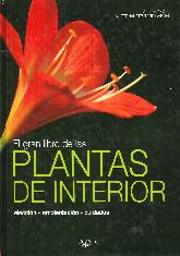 Plantas de interior