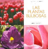 Las plantas bulbosas