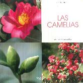Las camelias