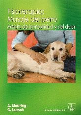 Fisioterapia: Masaje del Perro