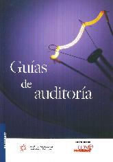 Guas De Auditora. Versin Profesional