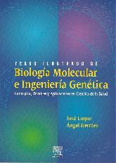 Texto ilustrado de Biologia Molecular e Ingenieria Genetica con CD