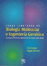 Texto ilustrado de Biologia Molecular e Ingenieria Genetica con CD