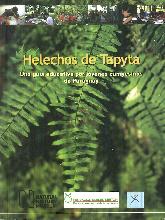 Helechos de Tapyta