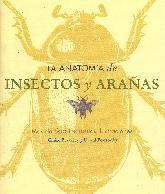 La Anatomia de Insectos y Araas