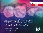 Anatoma dental de Milton Picosse