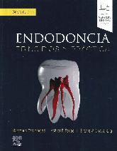 Endodoncia. Principios y prctica