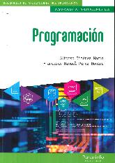 Programacin