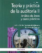 Teoria y practica de la auditoria II